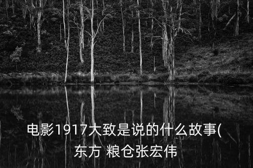 電影1917大致是說的什么故事( 東方 糧倉張宏偉