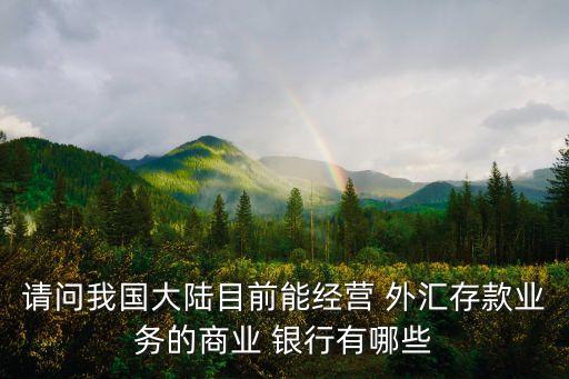 內(nèi)地哪個銀行外匯管理較松