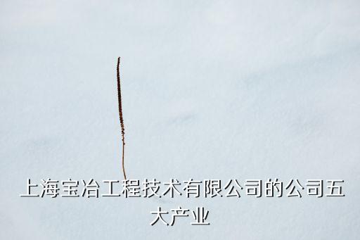  上海寶冶工程技術有限公司的公司五大產業(yè)