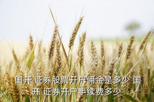  國(guó)開(kāi) 證券股票開(kāi)戶(hù)傭金是多少 國(guó)開(kāi) 證券開(kāi)戶(hù)手續(xù)費(fèi)多少