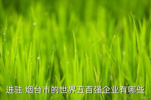 進駐 煙臺市的世界五百強企業(yè)有哪些