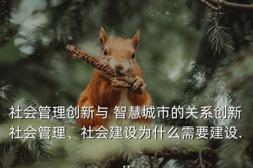 社會管理創(chuàng)新與 智慧城市的關(guān)系創(chuàng)新社會管理、社會建設(shè)為什么需要建設(shè)...