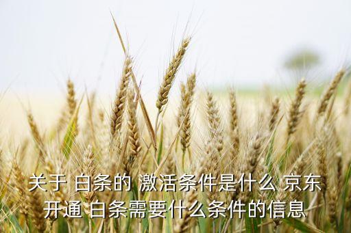 關(guān)于 白條的 激活條件是什么 京東開(kāi)通 白條需要什么條件的信息