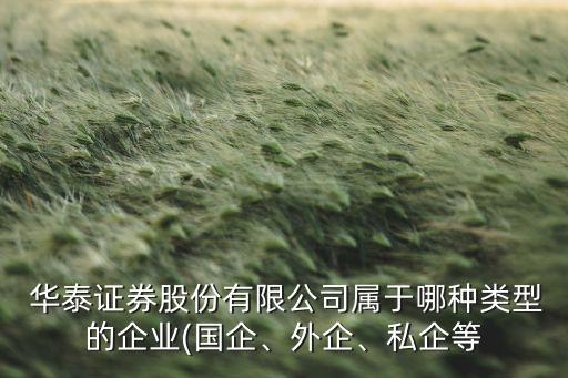  華泰證券股份有限公司屬于哪種類型的企業(yè)(國企、外企、私企等