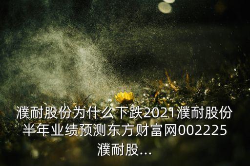 濮耐股份為什么下跌2021濮耐股份半年業(yè)績(jī)預(yù)測(cè)東方財(cái)富網(wǎng)002225濮耐股...