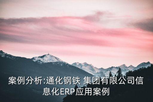 案例分析:通化鋼鐵 集團有限公司信息化ERP應(yīng)用案例
