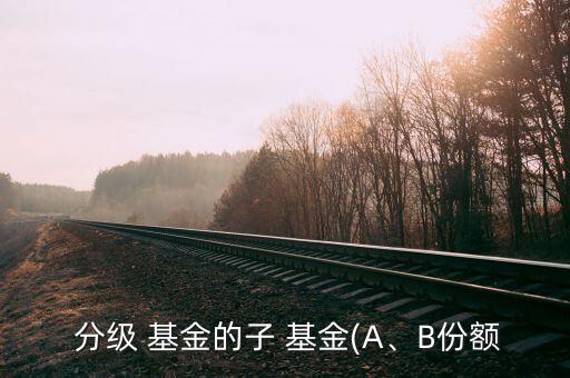  分級 基金的子 基金(A、B份額
