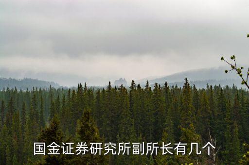 國金證券研究所副所長有幾個(gè)
