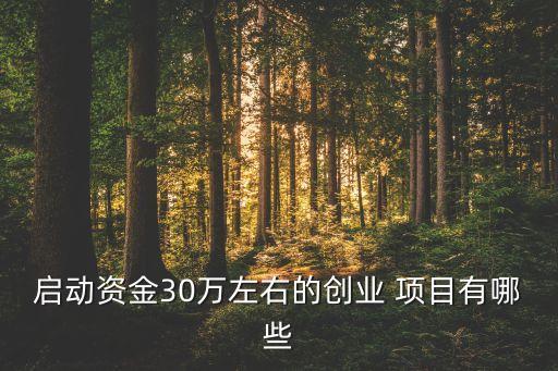 30萬上下投資什么項目,我有30萬應該投資什么