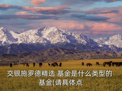 交銀施羅德精選 基金是什么類型的 基金(請具體點(diǎn)