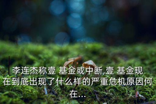 李連杰稱壹 基金或中斷,壹 基金現在到底出現了什么樣的嚴重危機原因何在...