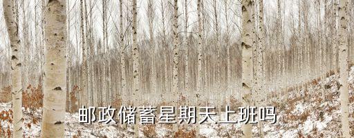 郵儲銀行張學文