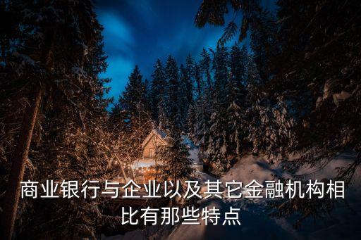 股份制商業(yè)銀行的特點