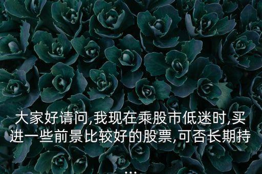 大家好請(qǐng)問,我現(xiàn)在乘股市低迷時(shí),買進(jìn)一些前景比較好的股票,可否長(zhǎng)期持...