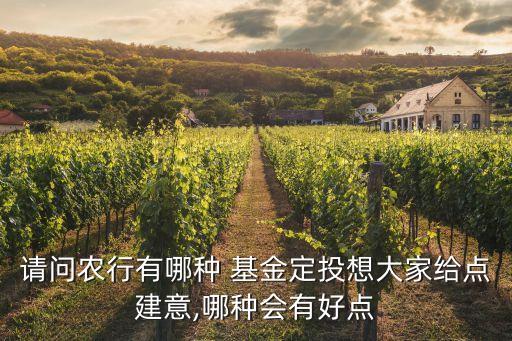 中國農業(yè)銀行基金定投