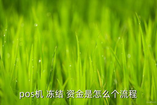 pos機(jī) 凍結(jié) 資金是怎么個(gè)流程