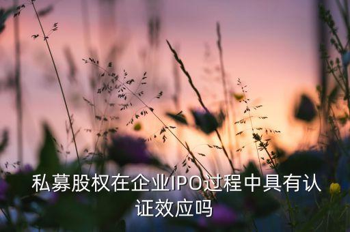  私募股權(quán)在企業(yè)IPO過(guò)程中具有認(rèn)證效應(yīng)嗎