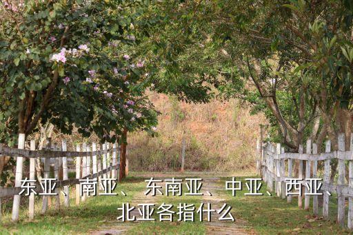 東亞、南亞、 東南亞、中亞、西亞、北亞各指什么