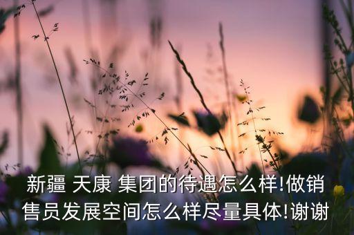 新疆 天康 集團(tuán)的待遇怎么樣!做銷(xiāo)售員發(fā)展空間怎么樣盡量具體!謝謝