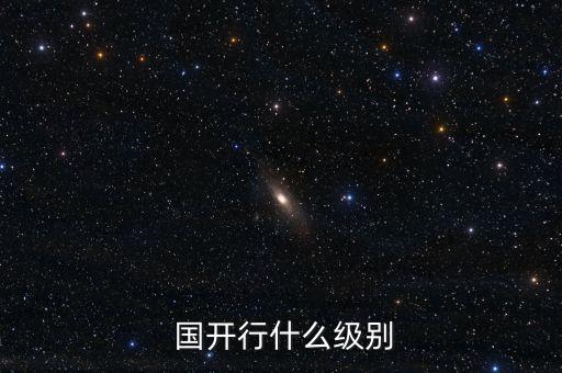  國(guó)開行什么級(jí)別