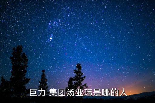  巨力 集團(tuán)湯亞瑋是哪的人