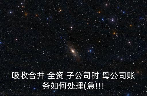 母公司對全資子公司的管理