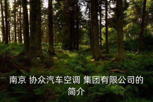 協(xié)眾集團(tuán)老總陳存友,南京協(xié)眾集團(tuán)陳存友