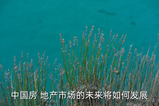 中國房 地產(chǎn)市場的未來將如何發(fā)展