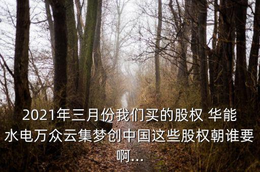 2021年三月份我們買(mǎi)的股權(quán) 華能水電萬(wàn)眾云集夢(mèng)創(chuàng)中國(guó)這些股權(quán)朝誰(shuí)要啊...