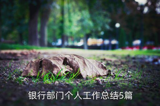 銀行部門(mén)個(gè)人工作總結(jié)5篇