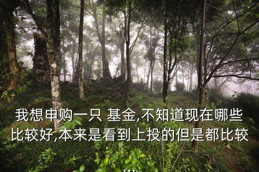 我想申購(gòu)一只 基金,不知道現(xiàn)在哪些比較好,本來(lái)是看到上投的但是都比較...
