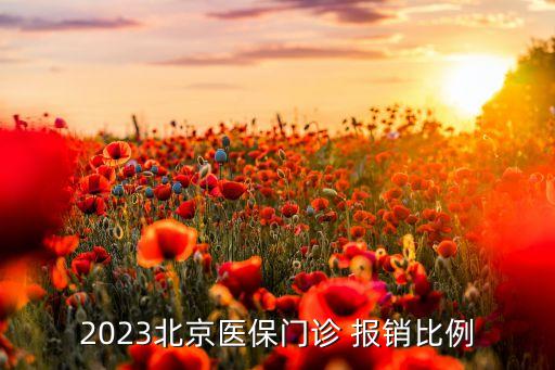 2023北京醫(yī)保門(mén)診 報(bào)銷(xiāo)比例