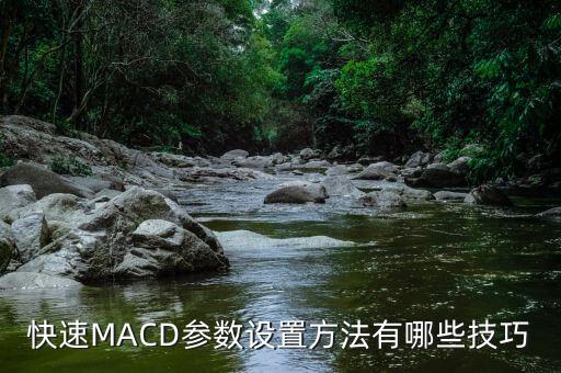 快速M(fèi)ACD參數(shù)設(shè)置方法有哪些技巧
