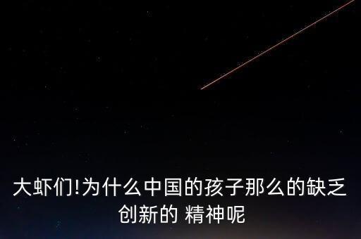 大蝦們!為什么中國的孩子那么的缺乏 創(chuàng)新的 精神呢