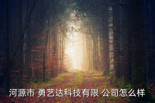 河源市 勇藝達科技有限 公司怎么樣