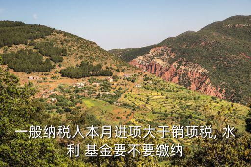 一般納稅人本月進(jìn)項大于銷項稅, 水利 基金要不要繳納