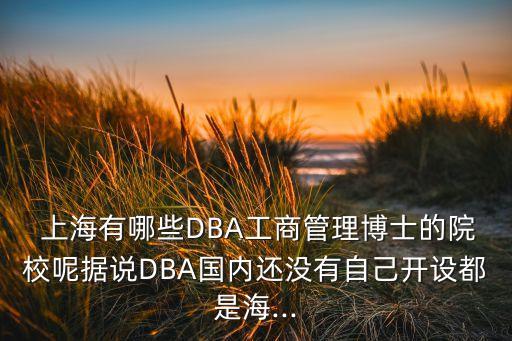  上海有哪些DBA工商管理博士的院校呢據說DBA國內還沒有自己開設都是海...