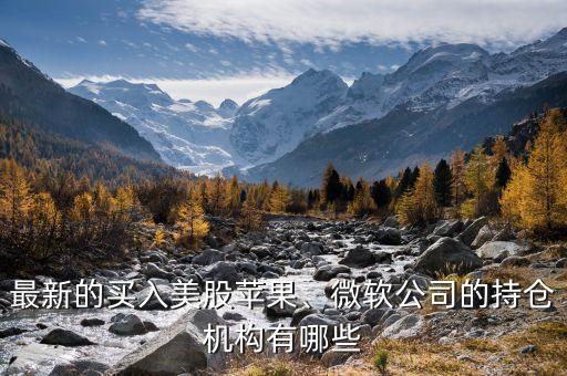 最新的買入美股蘋果、微軟公司的持倉機構有哪些