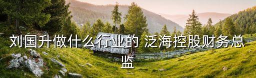 劉國(guó)升做什么行業(yè)的 泛?？毓韶?cái)務(wù)總監(jiān)