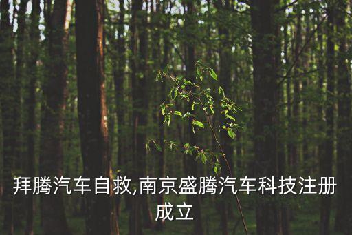 盛屯集團借殼,深圳盛屯集團