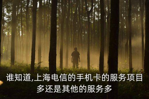 誰(shuí)知道,上海電信的手機(jī)卡的服務(wù)項(xiàng)目多還是其他的服務(wù)多