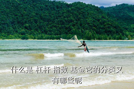 什么是 杠桿 指數(shù) 基金它的分類(lèi)又有哪些呢