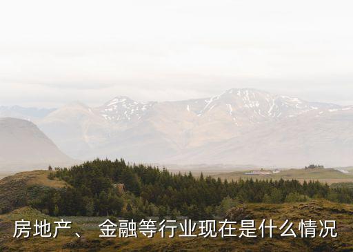 房地產、 金融等行業(yè)現在是什么情況