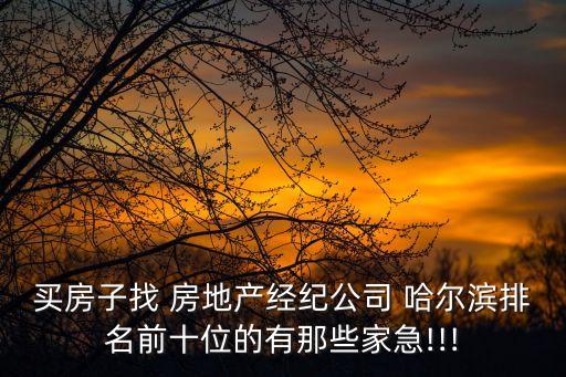 哈爾濱哈投房地產(chǎn)開發(fā)有限公司