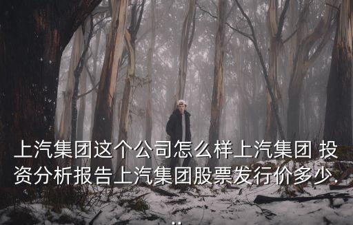 上汽集團(tuán)這個(gè)公司怎么樣上汽集團(tuán) 投資分析報(bào)告上汽集團(tuán)股票發(fā)行價(jià)多少...