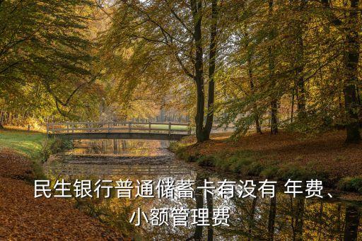  民生銀行普通儲蓄卡有沒有 年費、小額管理費