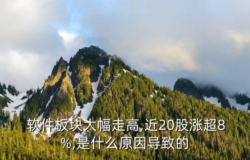  軟件板塊大幅走高,近20股漲超8%,是什么原因導致的