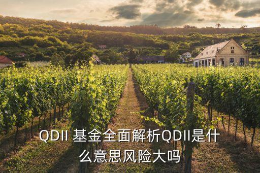 QDII 基金全面解析QDII是什么意思風(fēng)險(xiǎn)大嗎
