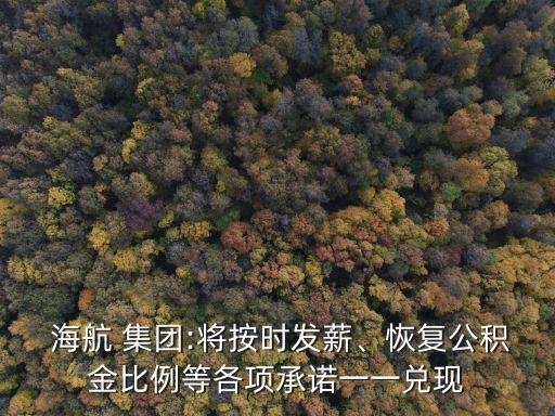  海航 集團(tuán):將按時(shí)發(fā)薪、恢復(fù)公積金比例等各項(xiàng)承諾一一兌現(xiàn)
