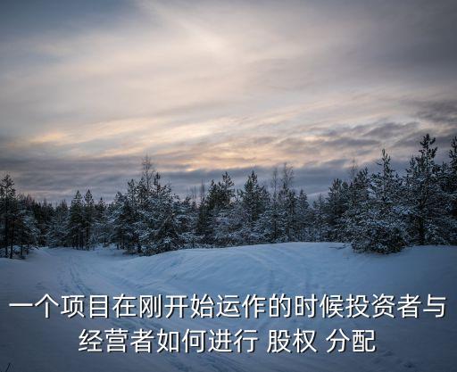 一個(gè)項(xiàng)目在剛開始運(yùn)作的時(shí)候投資者與經(jīng)營者如何進(jìn)行 股權(quán) 分配